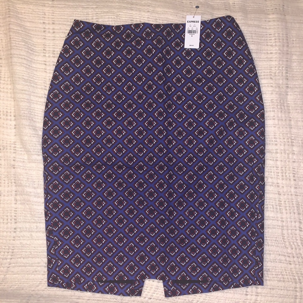 Express Pencil Skirt